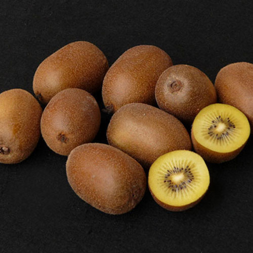 koliosfuitkoliosfuit